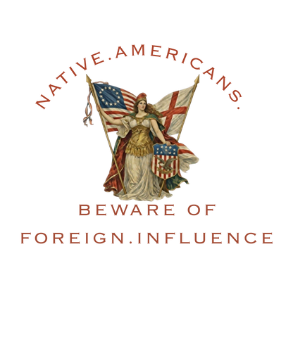Native American T-Shirt